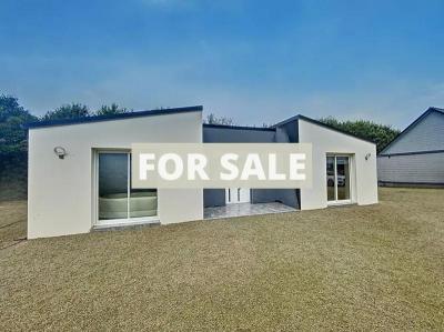 Contemporary Detached House