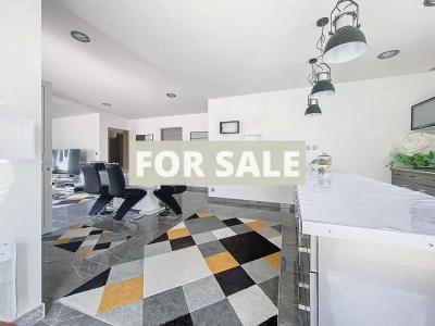 Contemporary Detached House