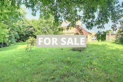 Delightful Detached House and Garden