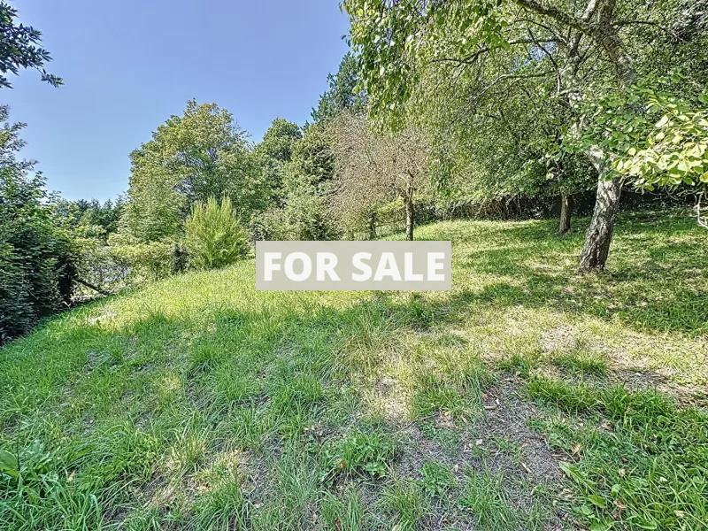 Lovely House with Sea View and Garden