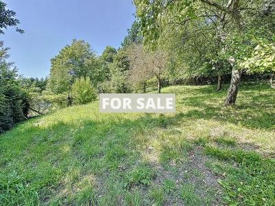 Lovely House with Sea View and Garden