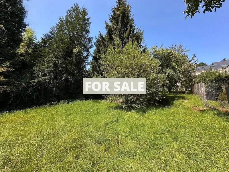 Lovely House with Sea View and Garden