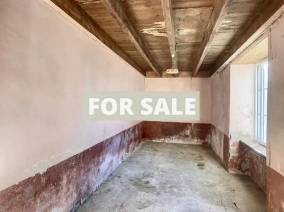 Detached Country House with Outbuildings and Land