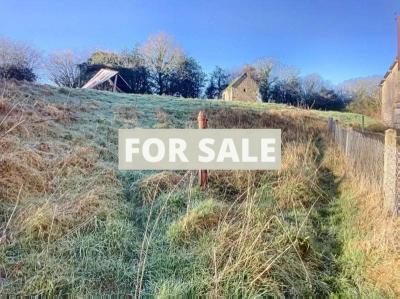 Detached Country House with Outbuildings and Land