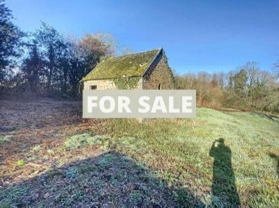 Detached Country House with Outbuildings and Land