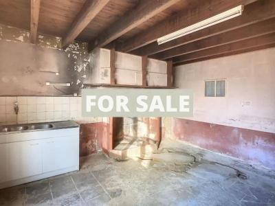 Detached Country House with Outbuildings and Land