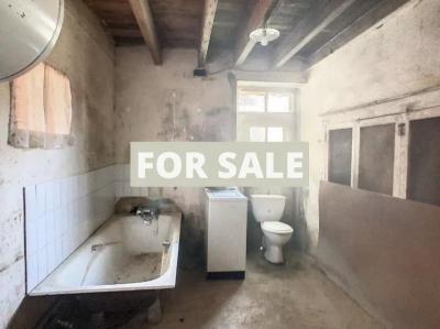 Detached Country House with Outbuildings and Land