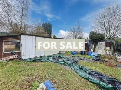 Property For Sale