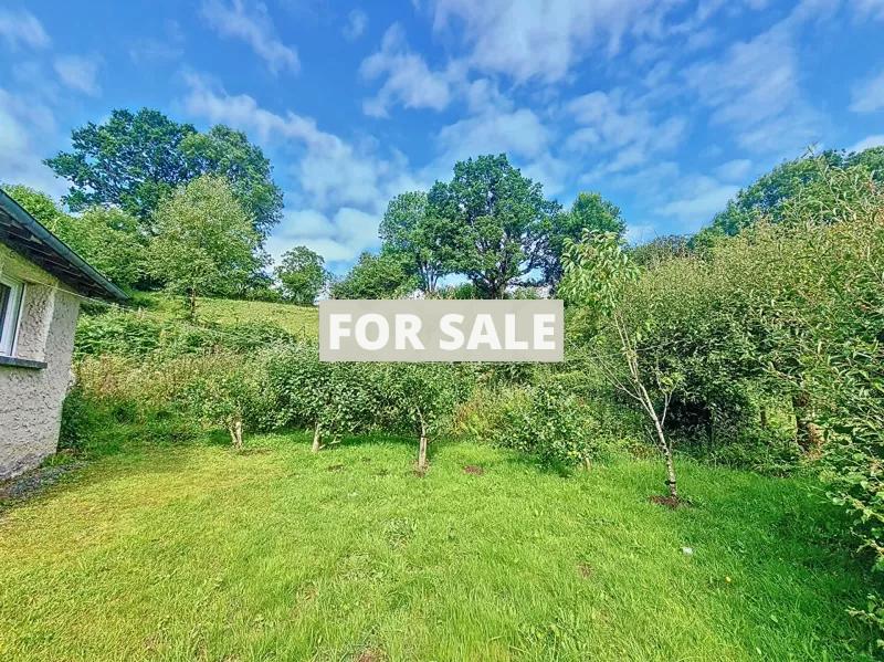 Detached Country House with No Neighbours