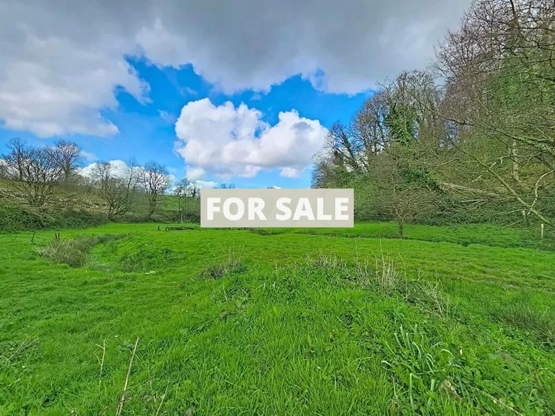 Detached Country House with No Neighbours