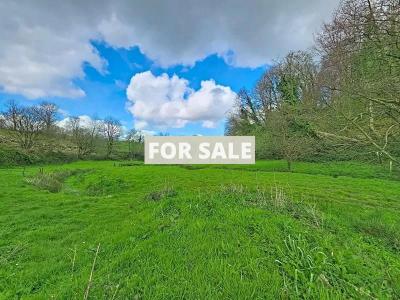 Detached Country House with No Neighbours