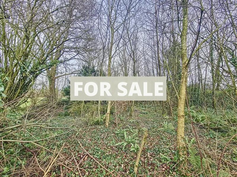 Property For Sale