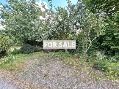 Beautiful House with Lovely Garden