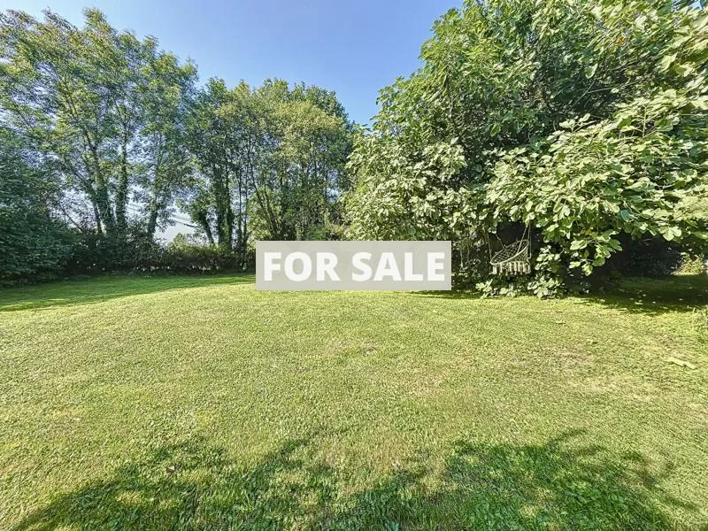 Country House with Bundles of Character