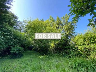 Charming House With Garden, Ideal Holiday Home