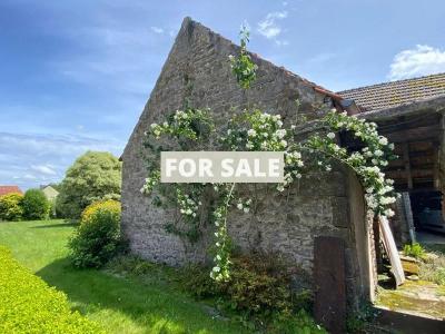 Property For Sale