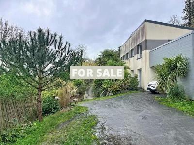 Contemporary Detached House