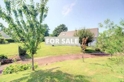 Detached House with Landscaped Garden