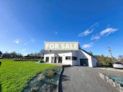 Contemporary Detached House with Landscaped Garden