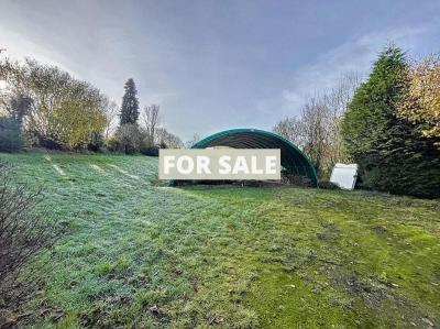 Detached House with Indoor Pool and Land