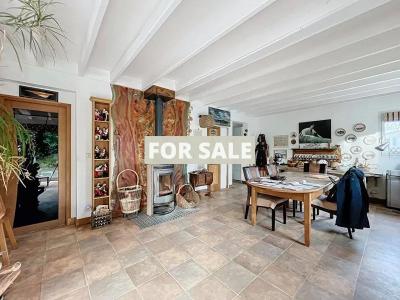 Detached House with Indoor Pool and Land