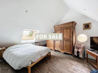Detached House with Indoor Pool and Land