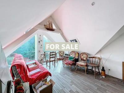 Detached House with Indoor Pool and Land