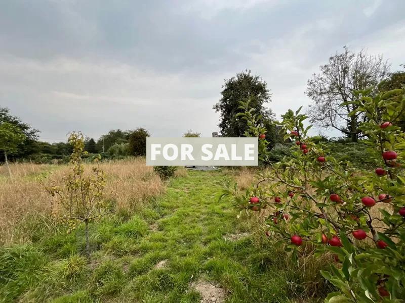 Detached Country House with Open Views