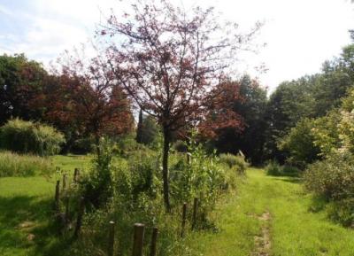 Watermill In An Idyllic Rural Setting in Eight Hectares