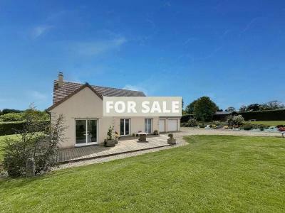 Property For Sale