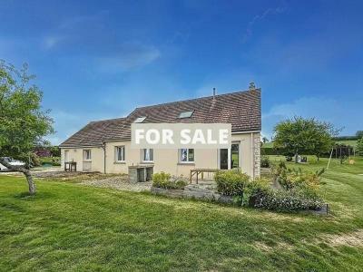 Property For Sale