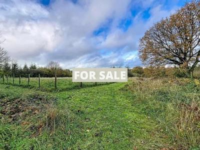 Detached Country House with Open Views