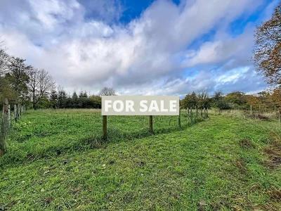Detached Country House with Open Views