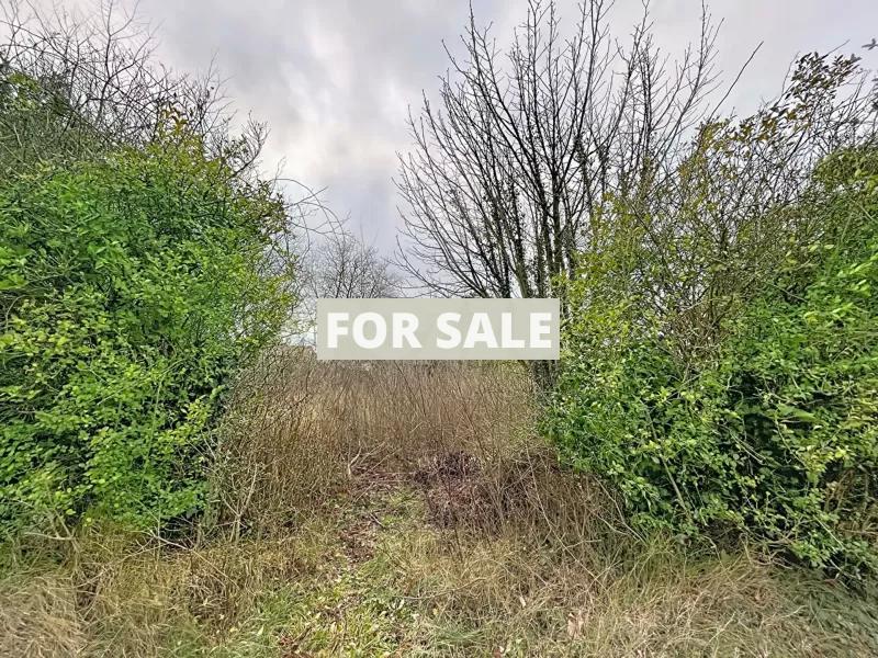 House with Permissions near to Pirou Beach