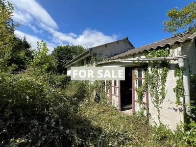Detached House for Renovation