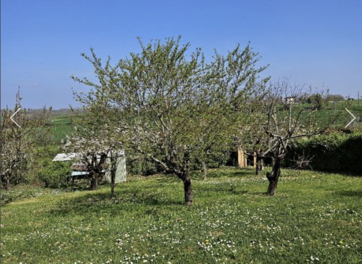 Detached House with Lovely Garden