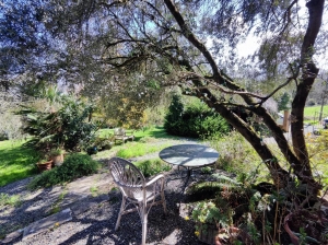 Renovated Landaise-style House With Lovely Garden