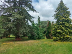 Manor House with Outbuilding and Land and Lake