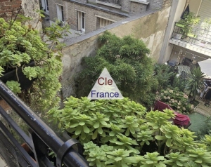 Paris Apartment with Balcony and View