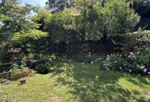 Detached Country House with Huge Potential