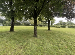 Detached Country House with Landscaped Garden