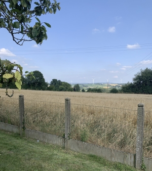 Detached House with Open View