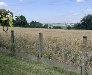 Detached House with Open View