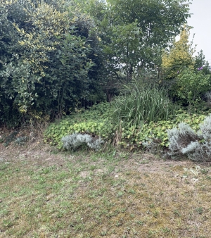 Detached House with Garden With Open View