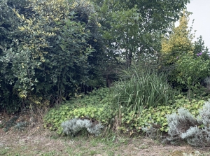 Detached House with Garden With Open View