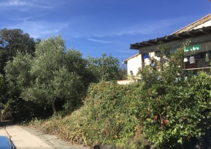 Village House With Swimming Pool And Garden