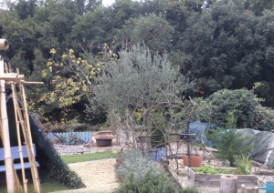 Village House With Swimming Pool And Garden