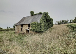 Country Barn to Renovate, Great Project