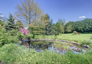 Detached Country House with Outbuilding