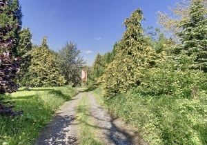 Detached Country House with Outbuilding